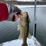 John Petrea - @john.petrea - Instagram