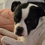 John Petree - @izzybeans2017 - Instagram
