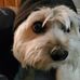 John Petrello - Facebook