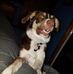 John Petri - Facebook