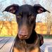 John Petri - Facebook