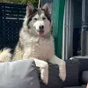 John Petrie - @john.petrie4 - TikTok
