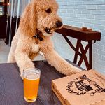 John Petrich - @john_petrich - Instagram