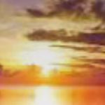 John Petrick - @petrick.john - Instagram