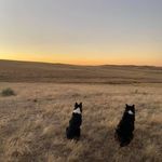 John Petrik - @john.j.petrik - Instagram