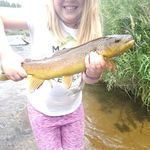 John Petrillo - @petrillo4797 - Instagram