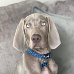 John Petrou - @john.petrou.9 - Instagram