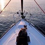 John Petrou - @john.petrou.5621149 - Instagram