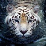 John Petrou - @jtpetrou - Instagram
