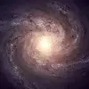John Petrov - @john.petrov0 - TikTok