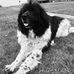 John Petrulis - Facebook