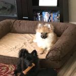 John J Petruzzelli - @john.j.petruzzelli - Instagram
