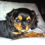 John Pettersen - @john.pettersen.94 - Instagram