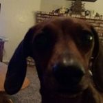 John Pettersen Jr - @johnnycat829 - Instagram