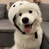 user6147324760637 - @john3pettoys - TikTok