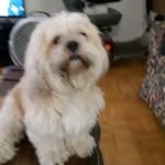 John Petti - @petti1109 - Instagram