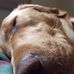 John Petti - Facebook
