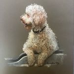John R Pettigrove - @johnpettigrove - Instagram