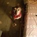 John Pettibone - Facebook