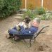 John Pettinger - Facebook
