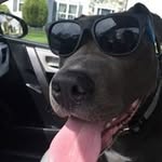 John Pettit - @jpettit49 - Instagram