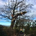 John Pettit - @pettista - Instagram