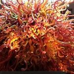 John Pettit - @jpettit2011 - Instagram
