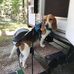 John Pettit - Facebook