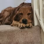 John pettitt - @the_positive_one1_1 - Instagram