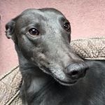 John Pettitt - @jf.pettitt - Instagram