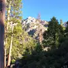 johnpew145 - @johnpew145 - TikTok