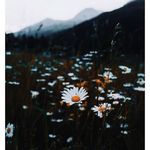 John - @pfuhlnrbuttrys6q1 - Instagram