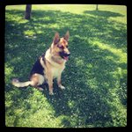 John Phair - @chronosrobletter - Instagram