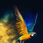 Philbert John - @philbert.john.167 - Instagram
