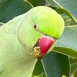 John Phillips - @wingin.it.with.john - Instagram