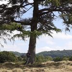 John Phipps - @johnphipps13 - Instagram