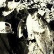 John Pichette - @bigbaits - Instagram