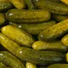 pickle - @johnpickleman - TikTok