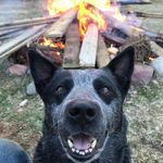 John Piedra - @john.piedra.3114 - Instagram