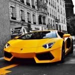 John.piggott - @john_arthur20009 - Instagram