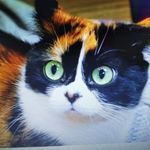 John Piller - @piller.john - Instagram