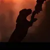 user1766784776224 - @john__piller - TikTok