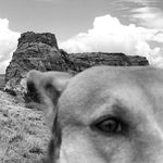 John Pilling - @thepilling4 - Instagram