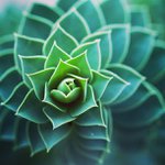 John Pilon - @roefrong - Instagram