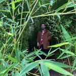 John Pilon - @framednatureaquascaping - Instagram