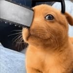 Johnny - @john.b_pingorile - Instagram