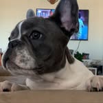 @johnpingo2022 - Instagram