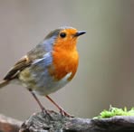 John Pinner - Facebook