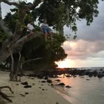 John James Piper - @john_piper88 - Instagram