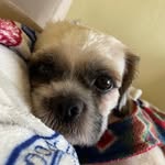 John Pipoca - @pipocajohn - Instagram